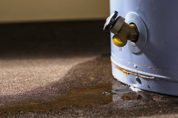 Best Flood damage cleanup  in Medical Lake, WA