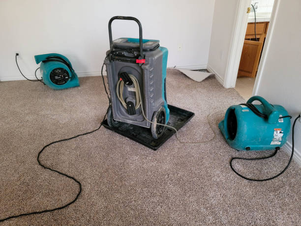 Best Professional water damage repair  in Medical Lake, WA