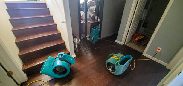 Best Fire Damage Restoration  in Medical Lake, WA