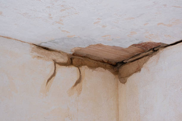 Best Commercial water damage restoration  in Medical Lake, WA