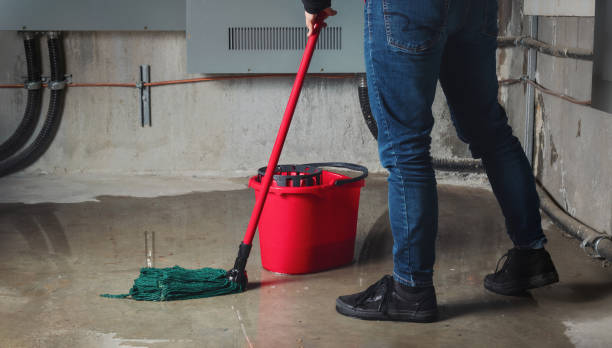 Best Flood damage cleanup  in Medical Lake, WA
