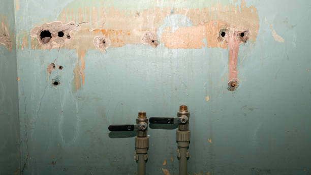 Best Local water damage restoration  in Medical Lake, WA