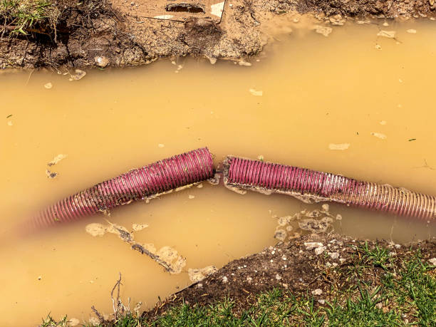 Best Flood damage cleanup  in Medical Lake, WA