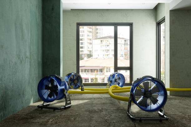 Best Fire Damage Restoration  in Medical Lake, WA